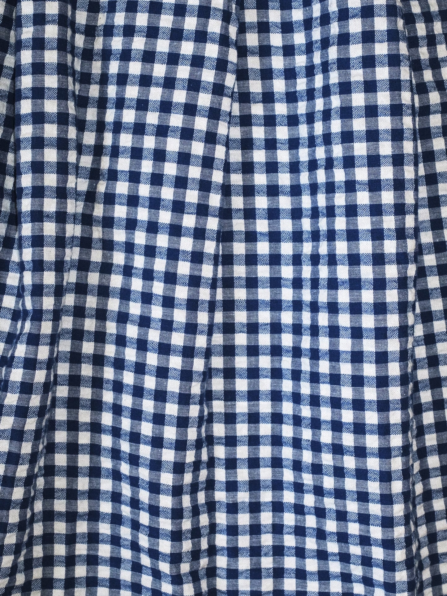 Banana Republic Blue Gingham Skirt